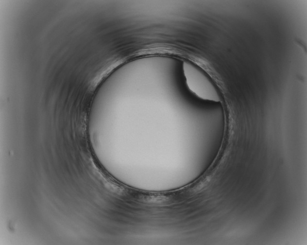 X0000101661233200807101017