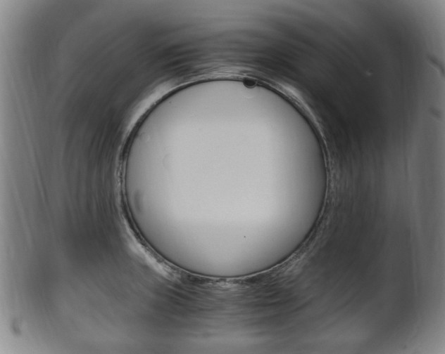 X0000101661235200807101017