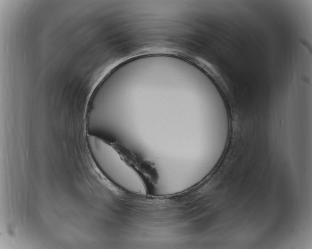X0000101661236200807101017