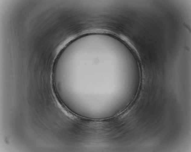 X0000101661237200807101017