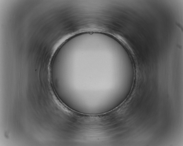 X0000101661238200807101017