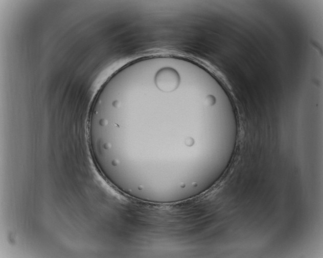 X0000101661239200807101017