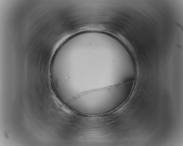 X0000101661240200807101017