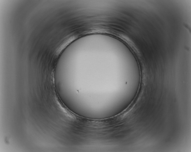 X0000101661241200807101017