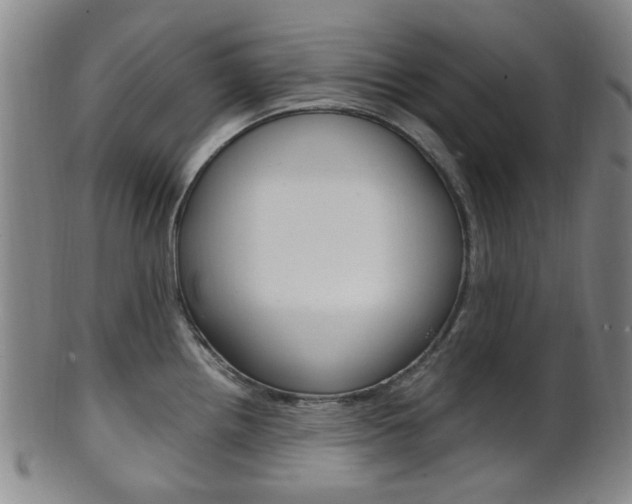 X0000101661242200807101017