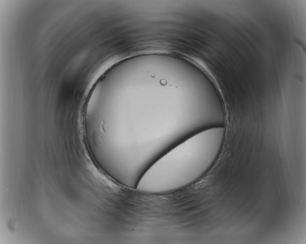 X0000101661243200807101017