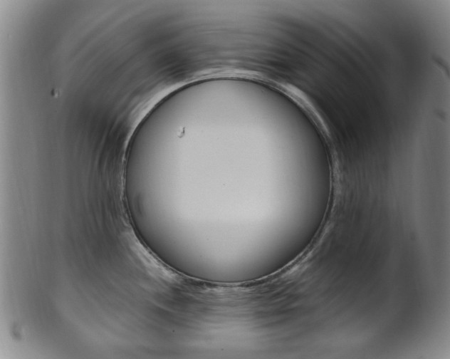 X0000101661244200807101017