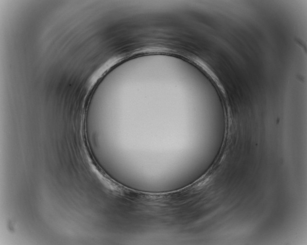 X0000101661245200807101017