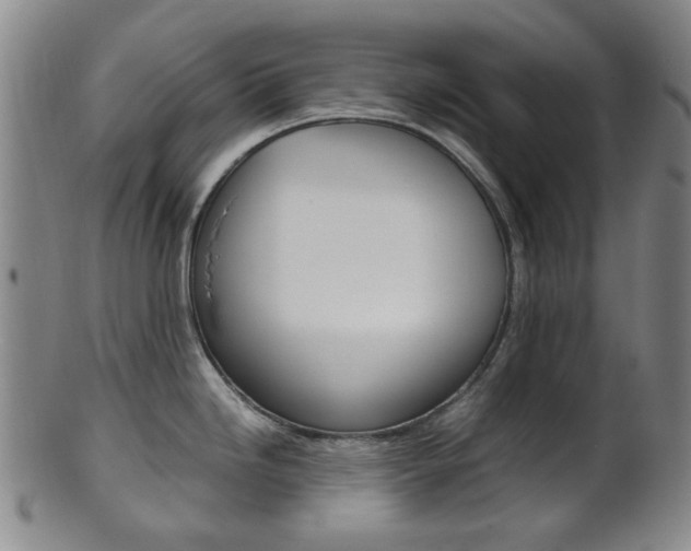 X0000101661246200807101017