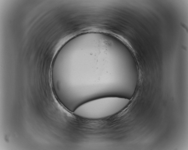 X0000101661247200807101017