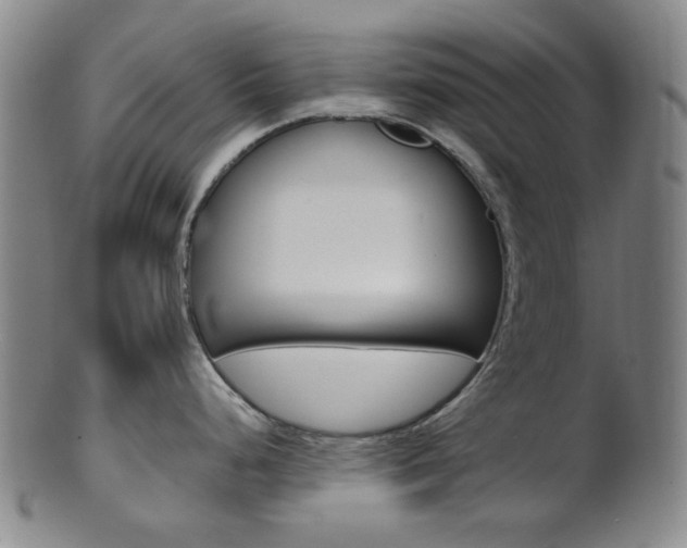 X0000101661248200807101017