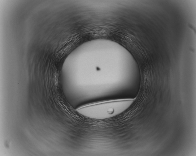 X0000101661250200807101017