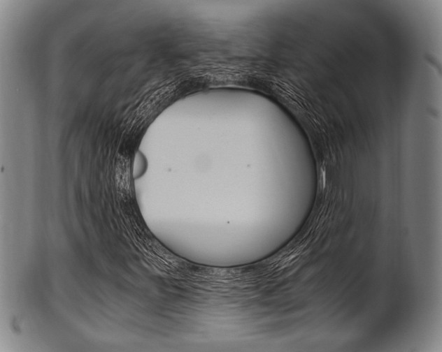 X0000101661251200807101017