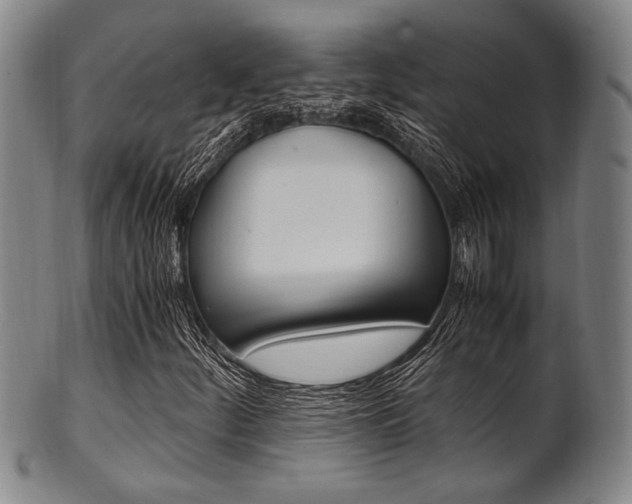 X0000101661252200807101017
