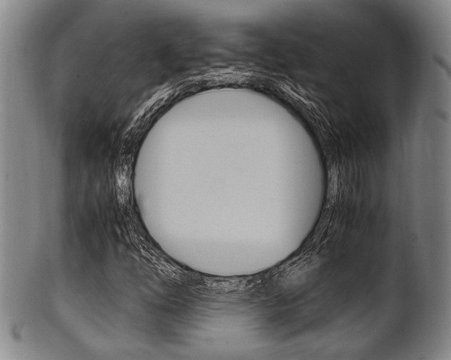X0000101661254200807101017