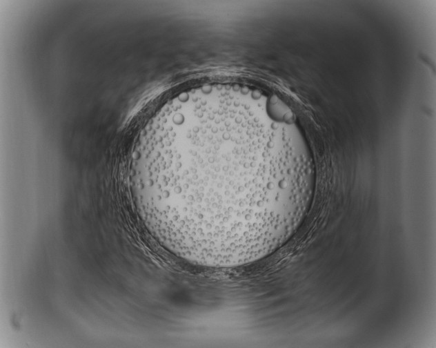 X0000101661255200807101017