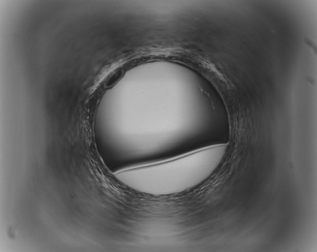 X0000101661256200807101017