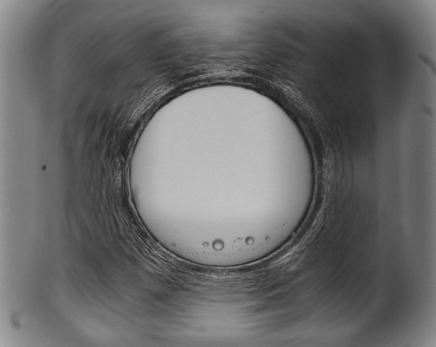 X0000101661257200807101017