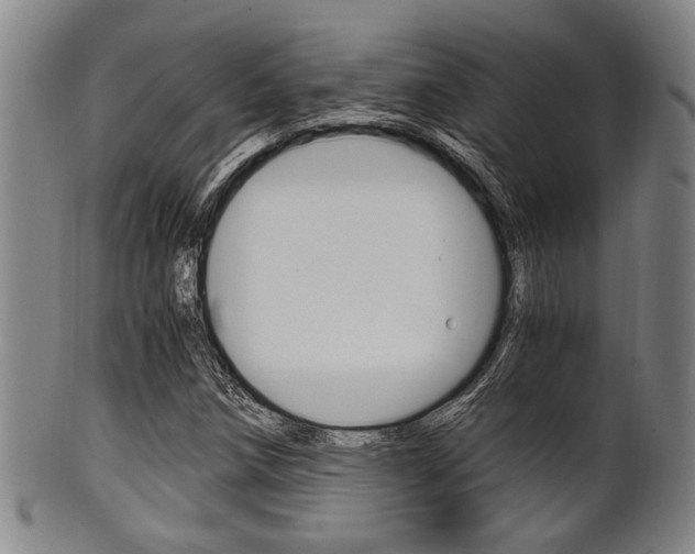 X0000101661258200807101017