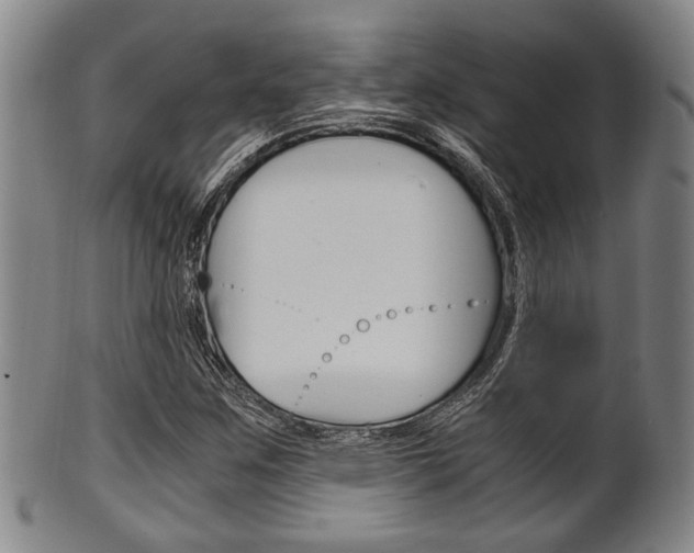 X0000101661259200807101016