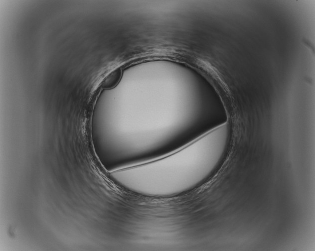 X0000101661260200807101016