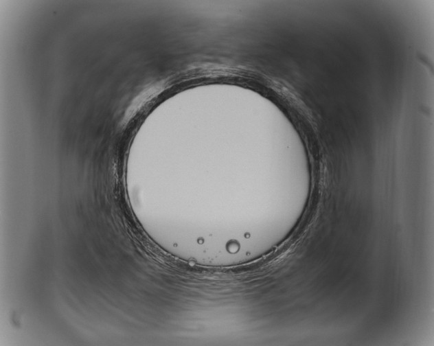 X0000101661261200807101016