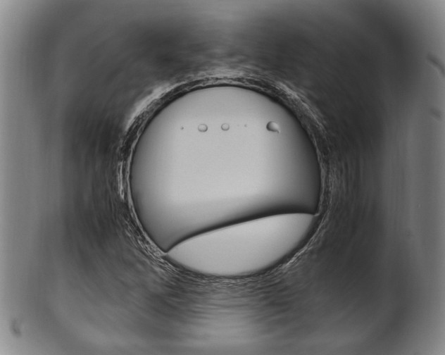 X0000101661262200807101016