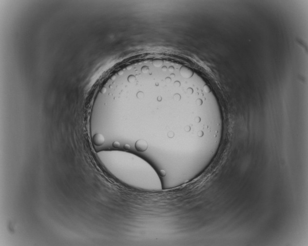 X0000101661263200807101016