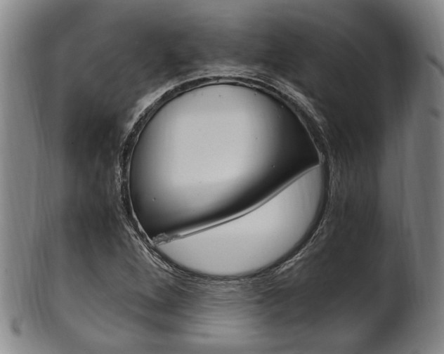 X0000101661264200807101016