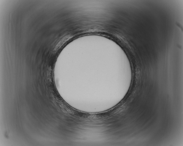 X0000101661265200807101016