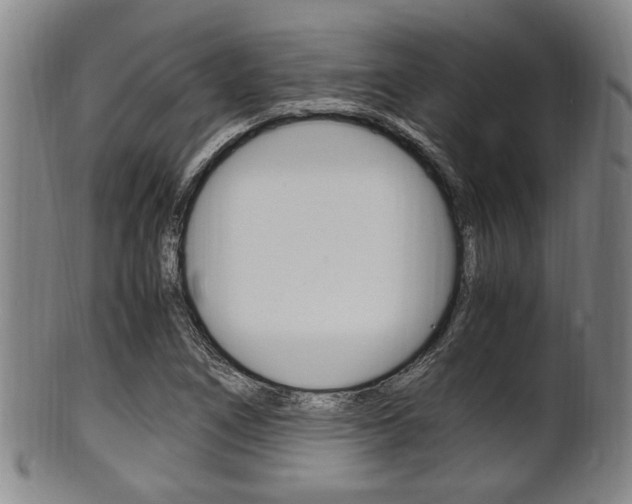 X0000101661266200807101016