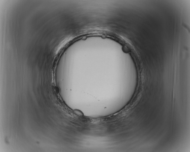X0000101661267200807101016