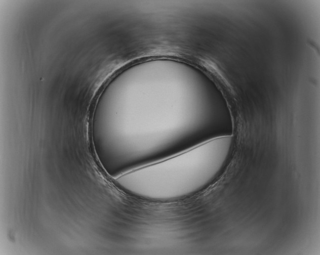 X0000101661268200807101016