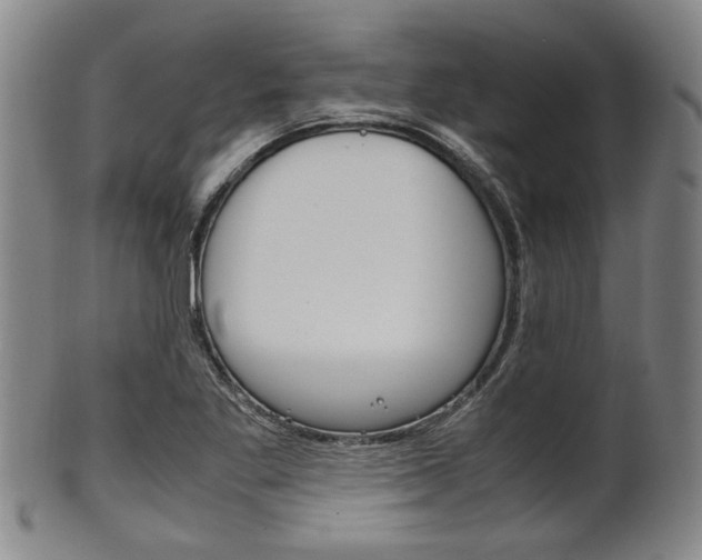 X0000101661269200807101016