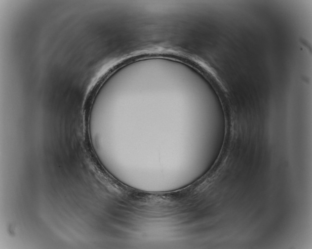 X0000101661270200807101016