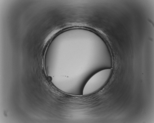X0000101661271200807101016