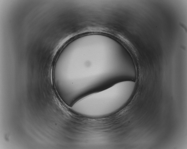 X0000101661272200807101016