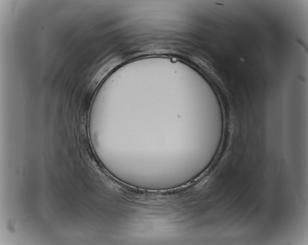 X0000101661273200807101016