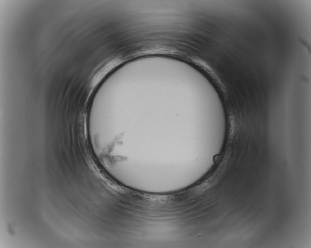 X0000101661274200807101016
