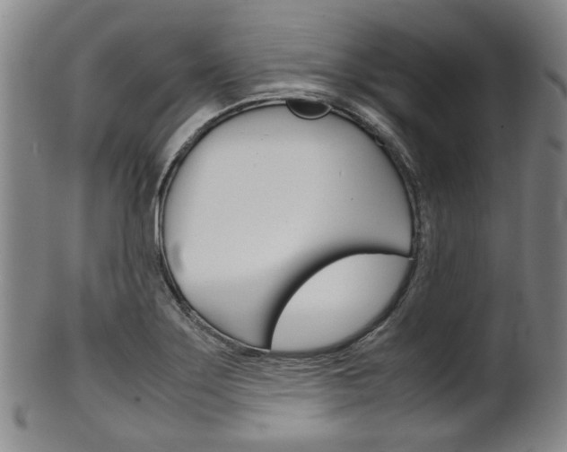 X0000101661275200807101016
