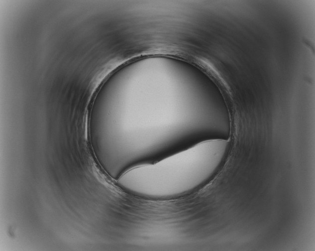 X0000101661276200807101016