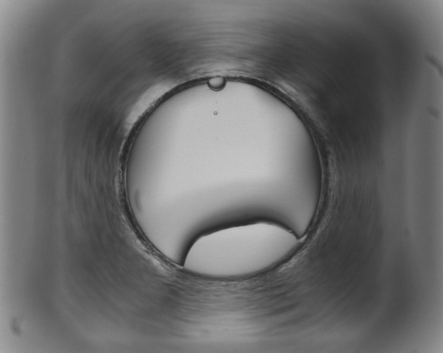 X0000101661277200807101016