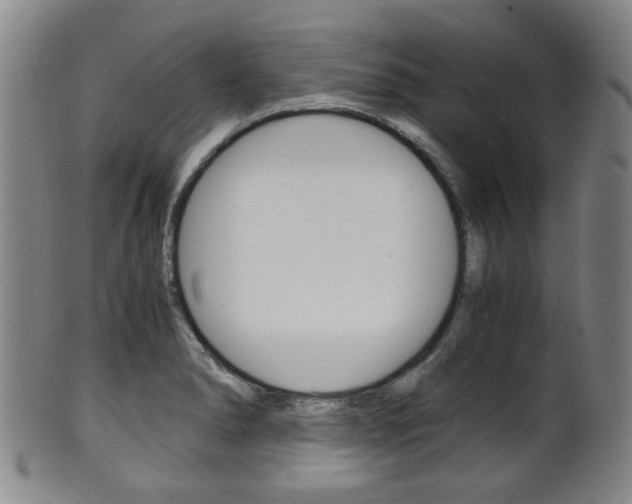 X0000101661278200807101016