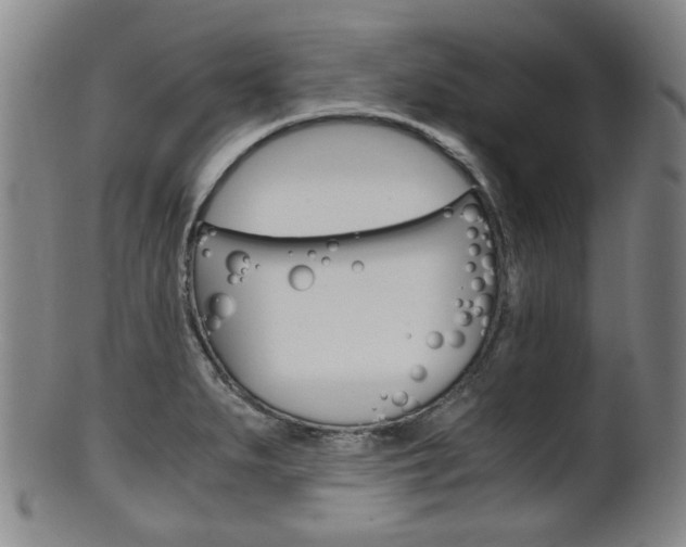 X0000101661279200807101016