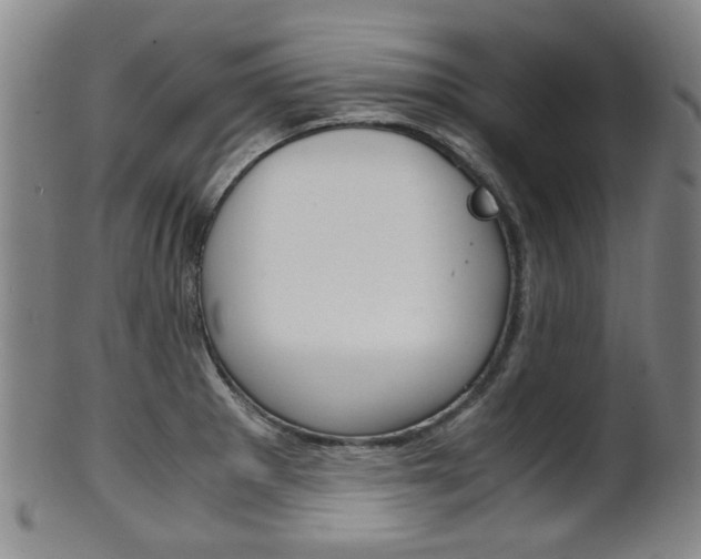 X0000101661281200807101016
