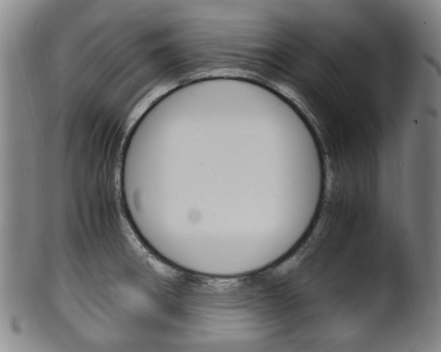 X0000101661282200807101016