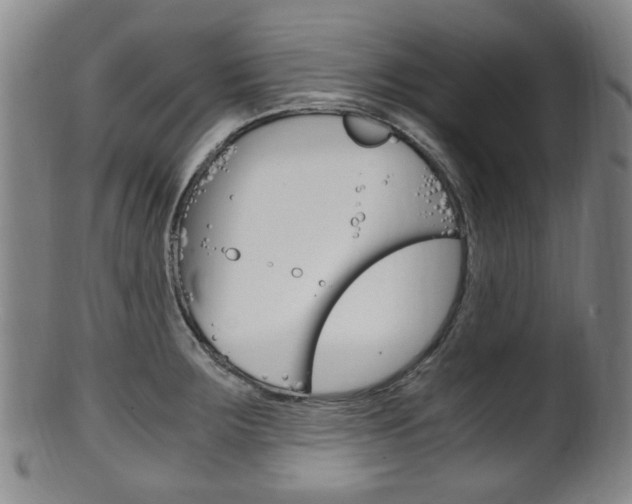 X0000101661283200807101016