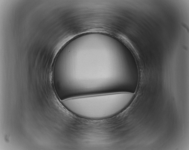 X0000101661284200807101016