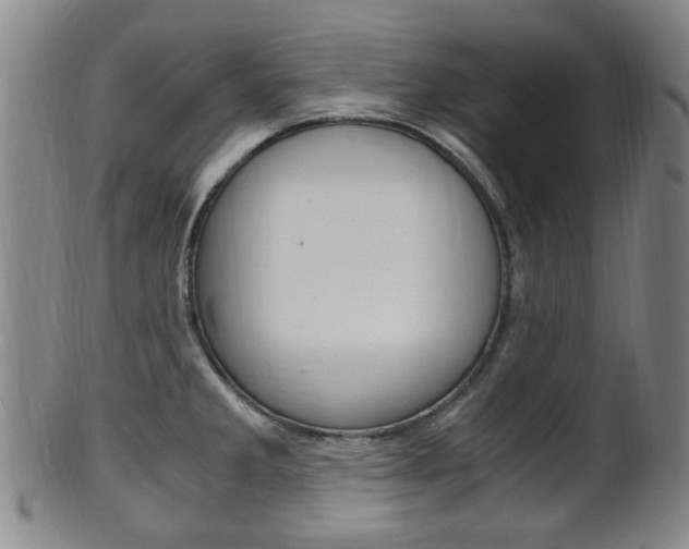 X0000101661285200807101016
