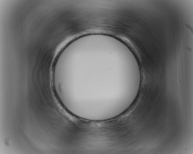 X0000101661286200807101016